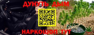 дмт Жуковский