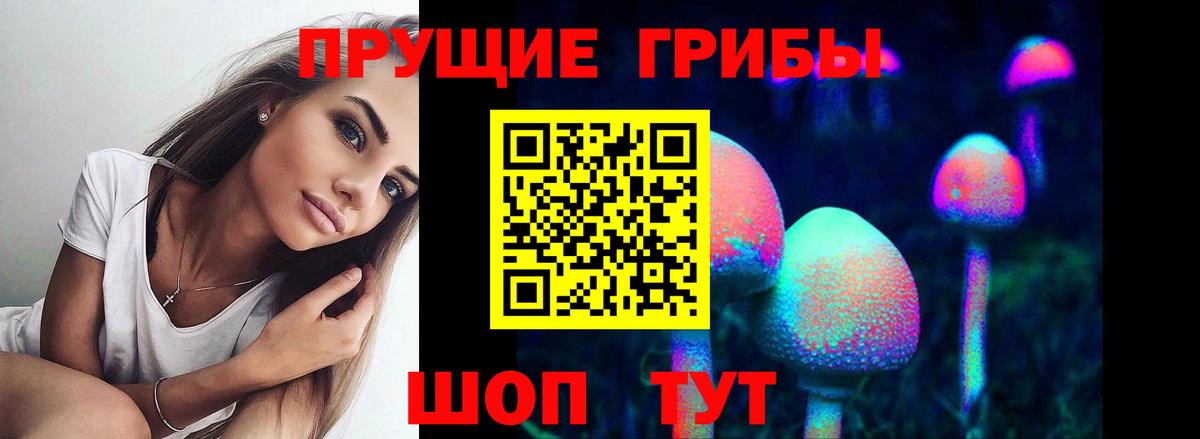 Можайск  Галлюциногенные грибы прущие грибы  Вход с VPN 